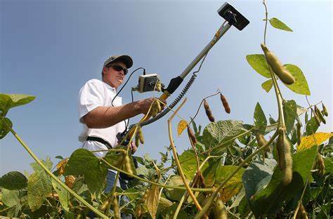 Science, Technology, And Education