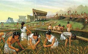 Early Agriculture Science Research