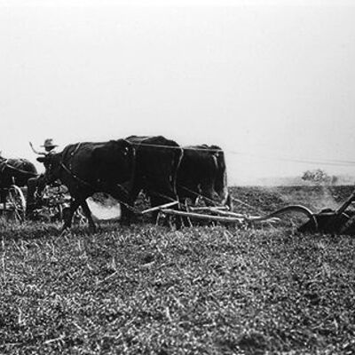Timeline: Ag history (1900-1930)