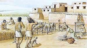 occupation du village de Mallaha