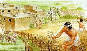 Première traces de sédentarisation et d'agriculture