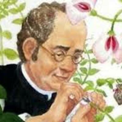 Timeline: Aportes en la investigación de Gregor Mendel