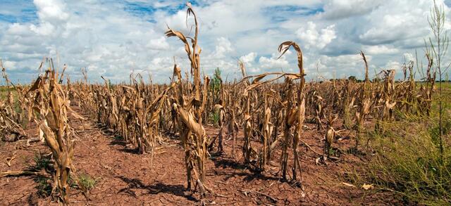 Agriculture Disaster and Drought