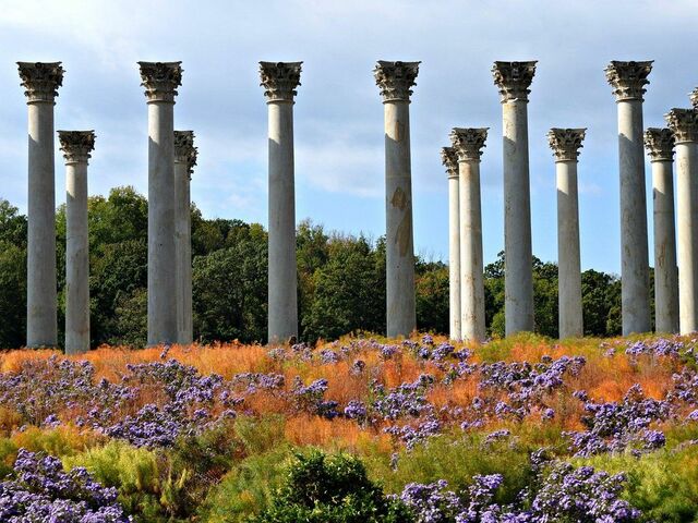 National Arboretum