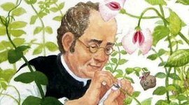 Timeline: Gregor Mendel