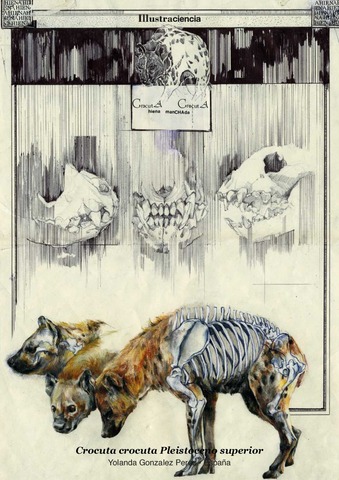 Pleistoceno Superior