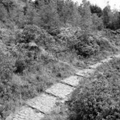 Timeline: Historia de la Ingeniería, a través de la Malla Vial