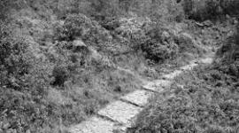 Timeline: Historia de la Ingeniería, a través de la Malla Vial