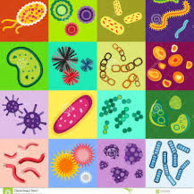 Timeline: historia de la microbiologia