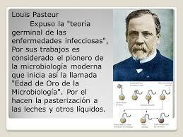 Se demuestra que el tizón tardío de la planta es causado por un hongo