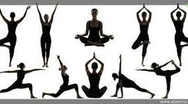 Timeline: Desarrollo historico de las terapias naturales