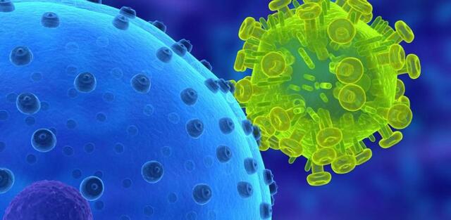 Los Microorganismos no son la causa del mosaico del tabaco