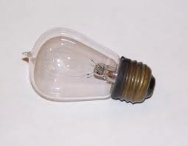 The Lightbulb and electricty by Thomas Edison