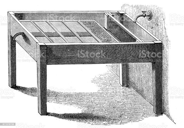 Se crea la cría artificial de peces en China