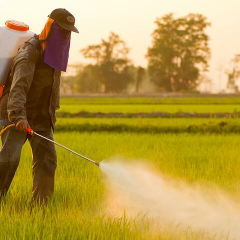New Pesticides and Herbicides