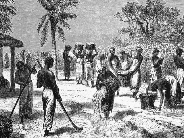 Economies of the North and South 1800s