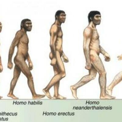 Timeline: la evolución del hombre