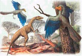 Surgen las Aves (Archaeopteris) y Mamíferos (Sinápsidos, Placentarios y Marsupiales)