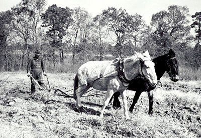 Post-war Agricultural