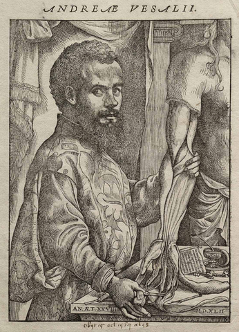 Vesalio