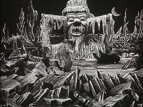 A la conquista del polo