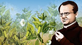 Timeline: Linea de tiempo Gregor Mendel 9B