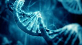 Timeline: Linea de tiempo Gregor Mendel
