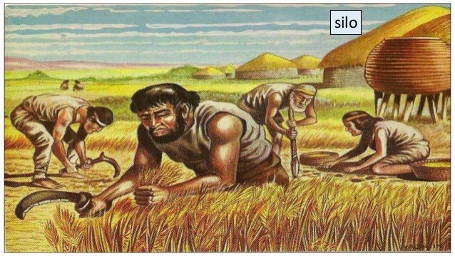 Première traces de sédentarisation et d'agriculture