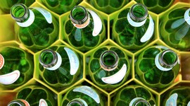 Timeline: Desarrollo Sustentable