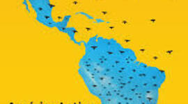 Timeline: Flujo migratorio paises latinoamericanos 2012-2020.