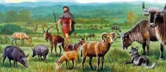 début de la domestication des animaux