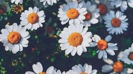 Timeline: Rock n' Roll through the Decades