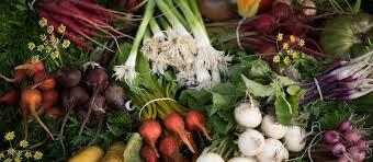 Increase in farm productivity