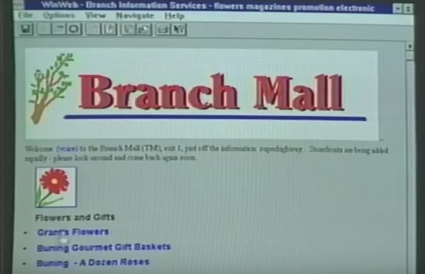 La web para el publico