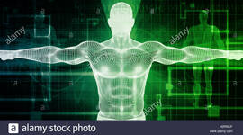 Timeline: Presaberes y Fundamentos