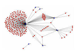 Las funciones, estrategias y prácticas en las familias transnacionales