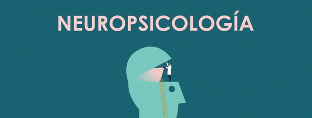 Campo de Estudio de la neuropsicología