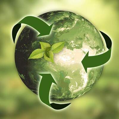 Timeline: Historia de la ecología