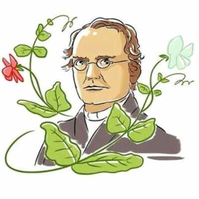 Timeline: Biografia Gregor Mendel