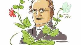 Timeline: Biografia Gregor Mendel