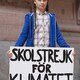 Greta thunberg