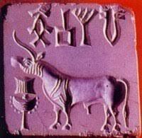 Nascita civiltà dell'indo e della cina