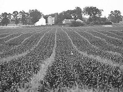 fertilizer increases crop yields