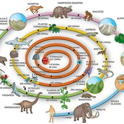 Timeline: A Historia da Terra