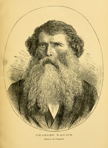 charles Víctor  Naudin