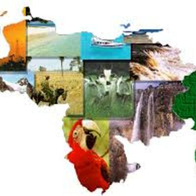 Timeline: linea de tiempo sobre las actividades Agropecuarias en Venezuela