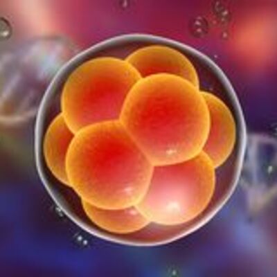 Timeline: Teorías y científicos aportadores a la embriología