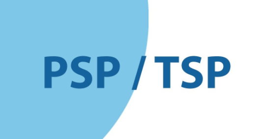 Modelos relacionados.(Década de los 90)