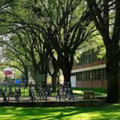 Timeline: University