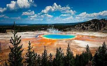 Teoría del caldo primordial